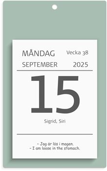 Kalender 2025 Väggplån med dagblock Humor